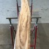Spalted Elm #080