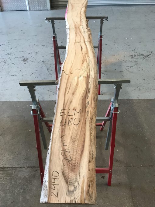 Spalted Elm #080