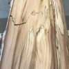 Spalted Elm #080