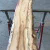 Spalted Elm #080