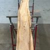 Spalted Elm #080