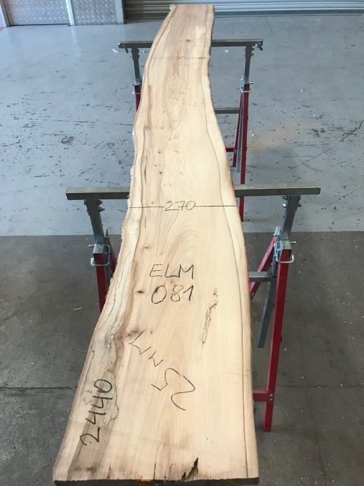 Spalted Elm #081