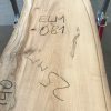Spalted Elm #081