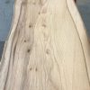 Spalted Elm #081