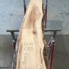 Spalted Elm #083