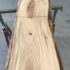 Spalted Elm #083