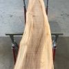 Spalted Elm #083