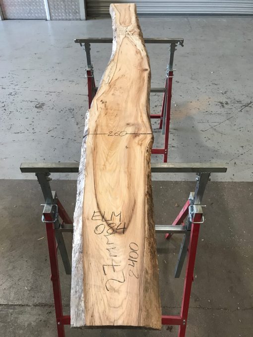 Spalted Elm #084