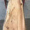 Spalted Elm #084