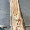 Spalted Elm #084