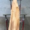 Spalted Elm #084