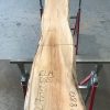Spalted Elm #085