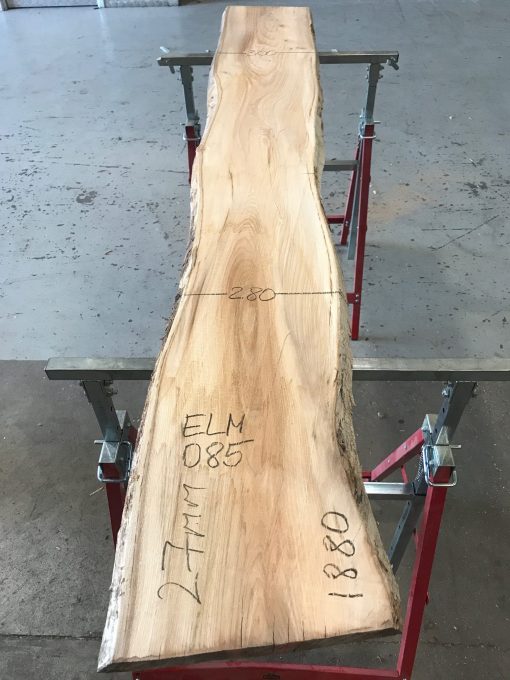 Spalted Elm #085