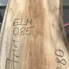 Spalted Elm #085