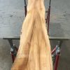Spalted Elm #085
