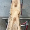 Spalted Elm #086