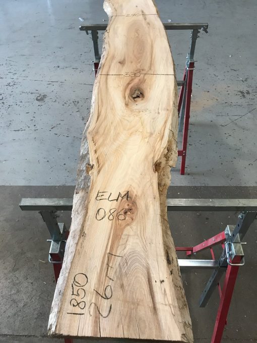 Spalted Elm #086