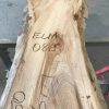 Spalted Elm #086