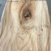 Spalted Elm #086