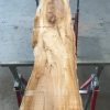 Spalted Elm #086
