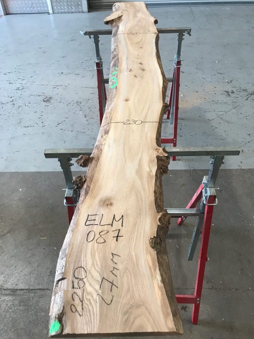 Spalted Elm #087