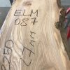 Spalted Elm #087
