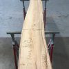 Spalted Elm #088