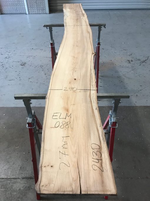 Spalted Elm #088