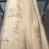 Spalted Elm #088
