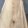Spalted Elm #088