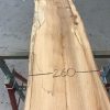 Spalted Elm #088