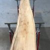 Spalted Elm #088