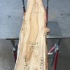 Spalted Elm #089