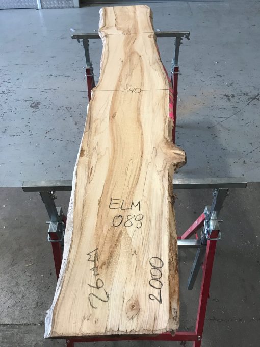 Spalted Elm #089