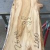 Spalted Elm #089