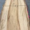 Spalted Elm #089