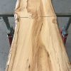 Spalted Elm #089