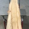 Spalted Elm #089