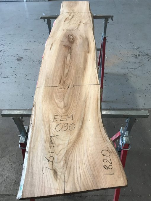 Spalted Elm #091
