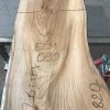 Spalted Elm #091