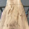 Spalted Elm #091