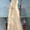 Spalted Elm #092
