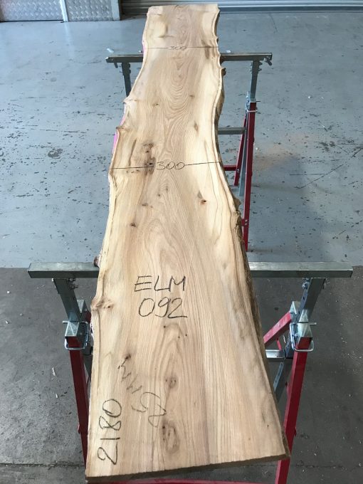 Spalted Elm #092