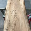 Spalted Elm #092