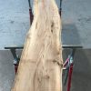 Spalted Elm #092