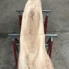 Spalted Elm #090