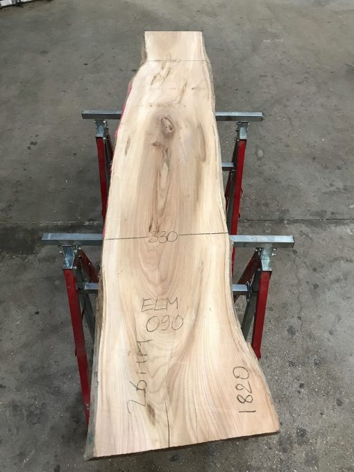 Spalted Elm #090