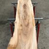 Spalted Elm #090