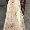 Spalted Elm #082