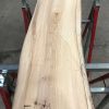 Spalted Elm #082